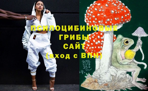 марихуана Абаза