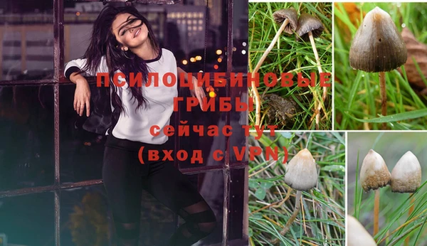 таблы Новокубанск