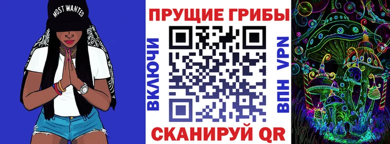 где продают наркотики  Починок  мега вход  Псилоцибиновые грибы Magic Shrooms 