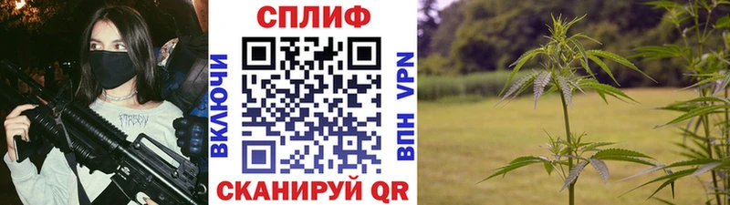 сколько стоит  Починок  Каннабис план 